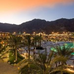 Miramar Al Aqah Beach Resort 5